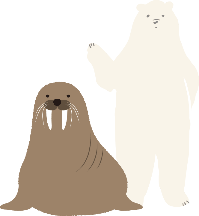 シロクマとセイウチのイラスト